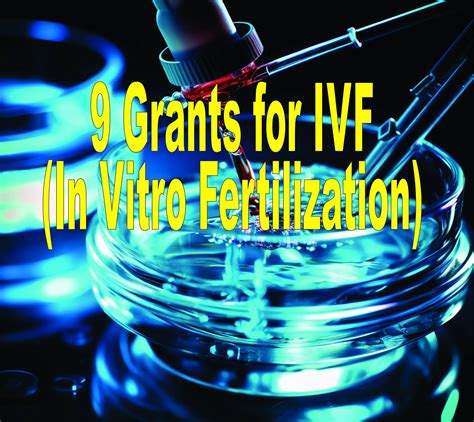 government grants for in vitro fertilization